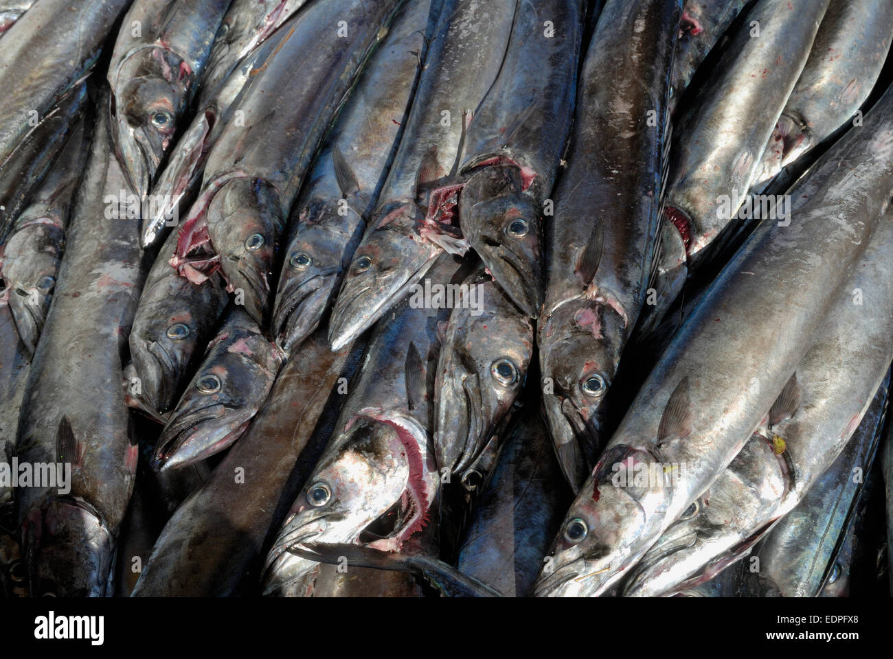 Poisson Salé (Snoek fish) - The Authentic Mauritian Food