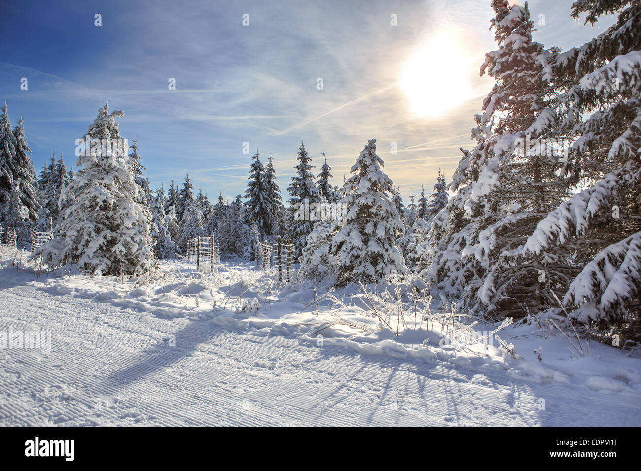 Cross-country skiing trail near Masserberg in Thuringia,  Germany Stock Photo