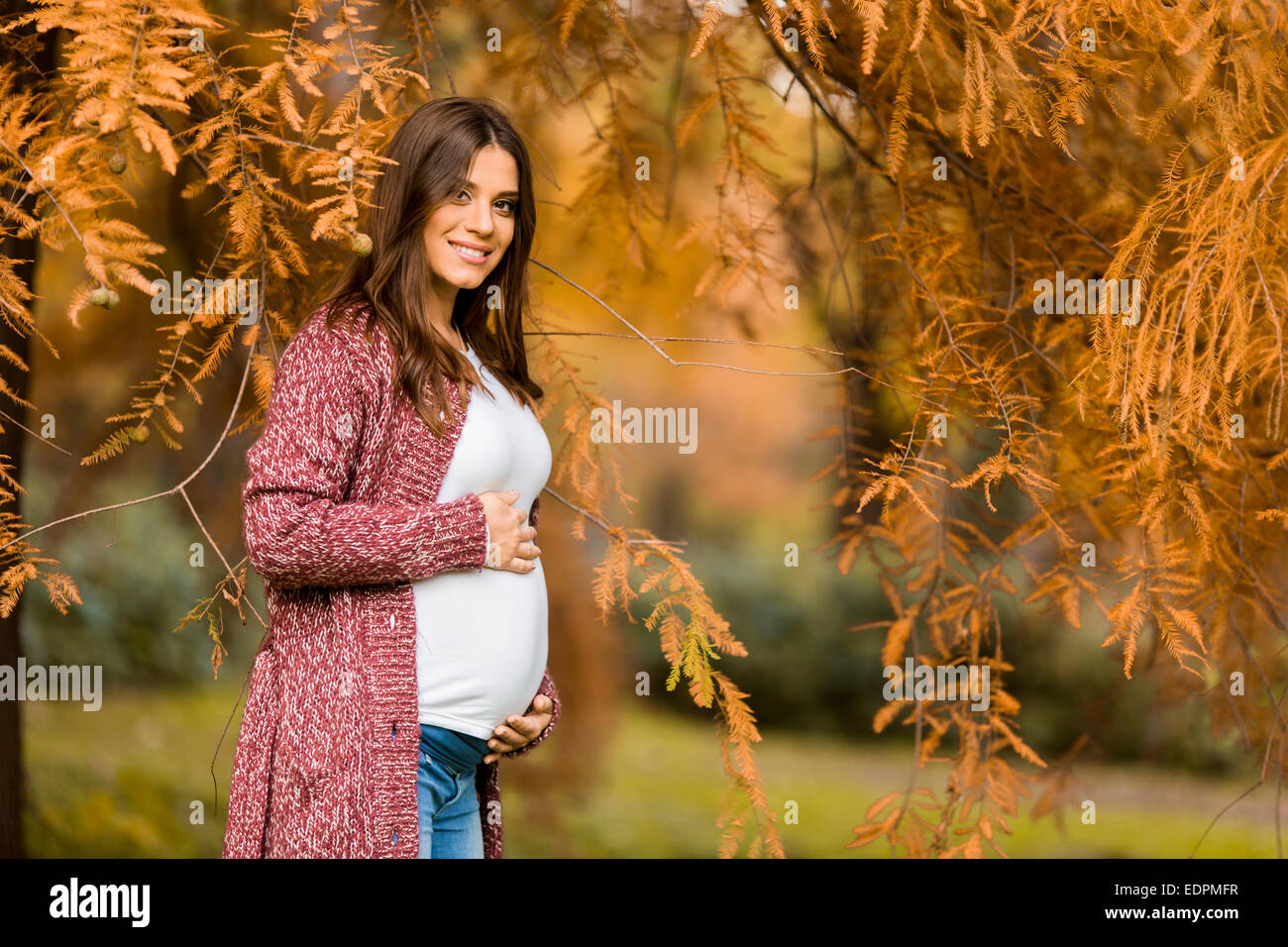 Young pregnant woman in the autumn park Stock Photo - Alamy