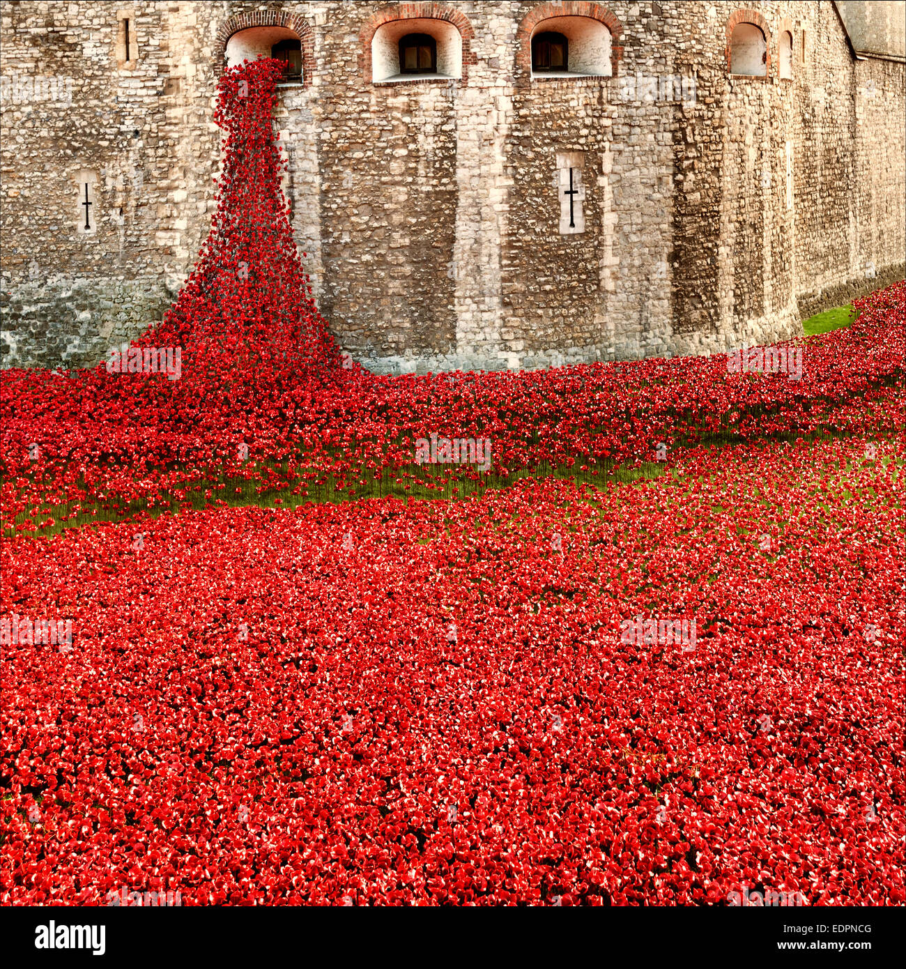 Tower of London Poppies Stock Photo