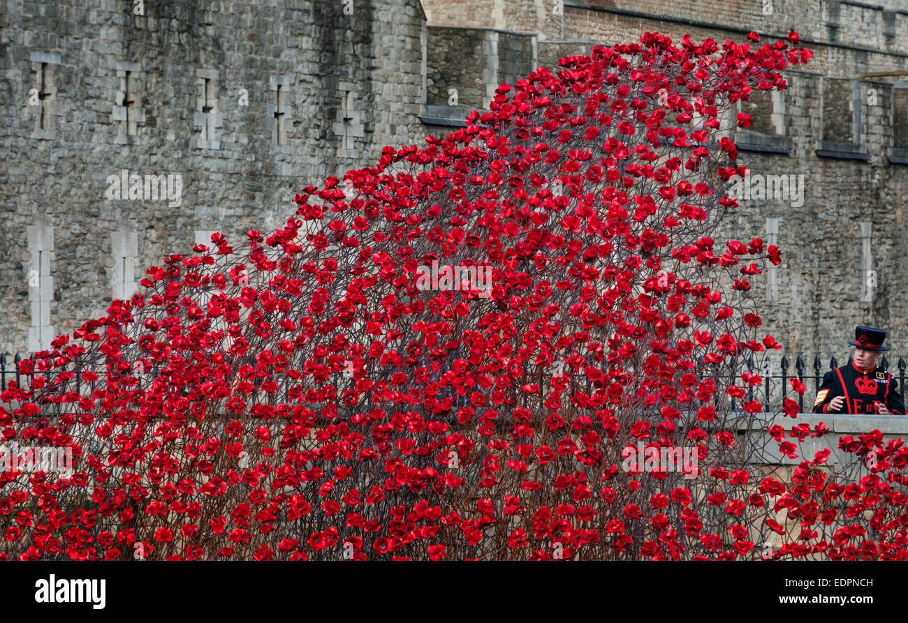 Poppies Tower of London Stock Photo