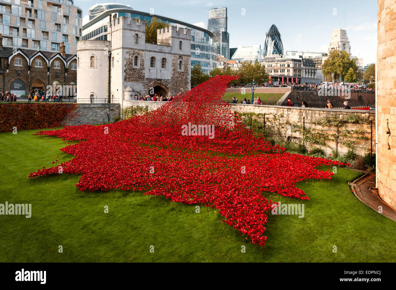 Tower of London Poppies Stock Photo