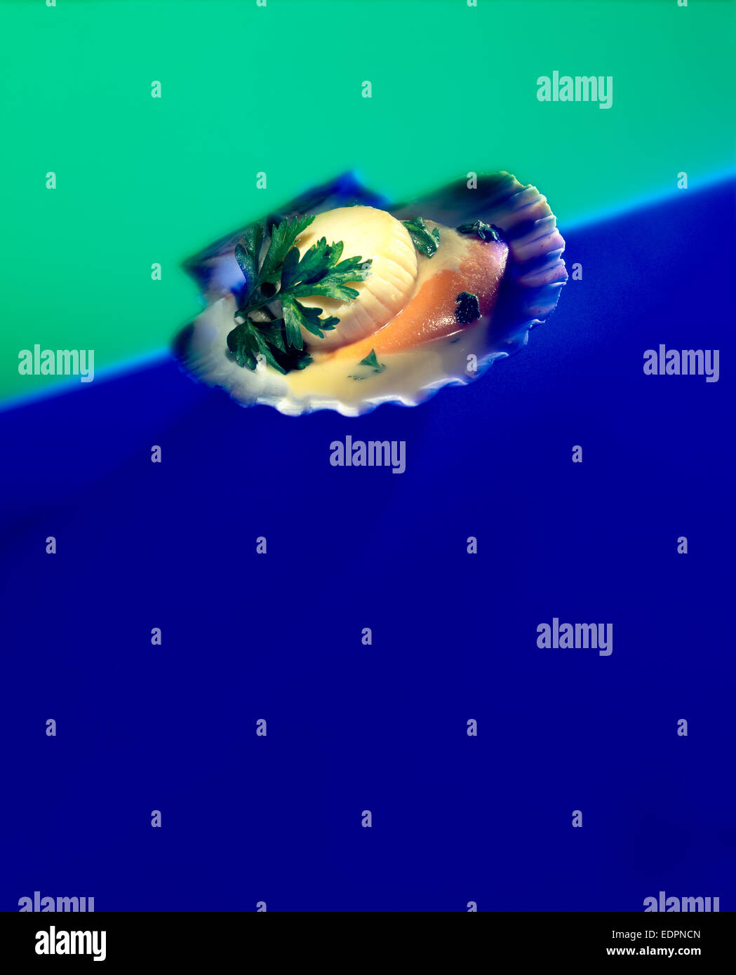 Blue scallop hi-res stock photography and images - Alamy