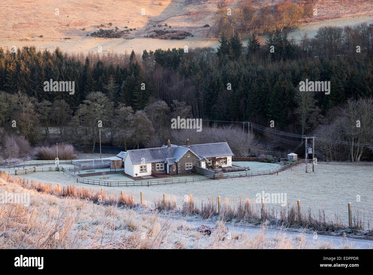 Scottish Estate cottages in the morning frost on the Bowhill House estate, Selkirkshire. Scotland Stock Photo