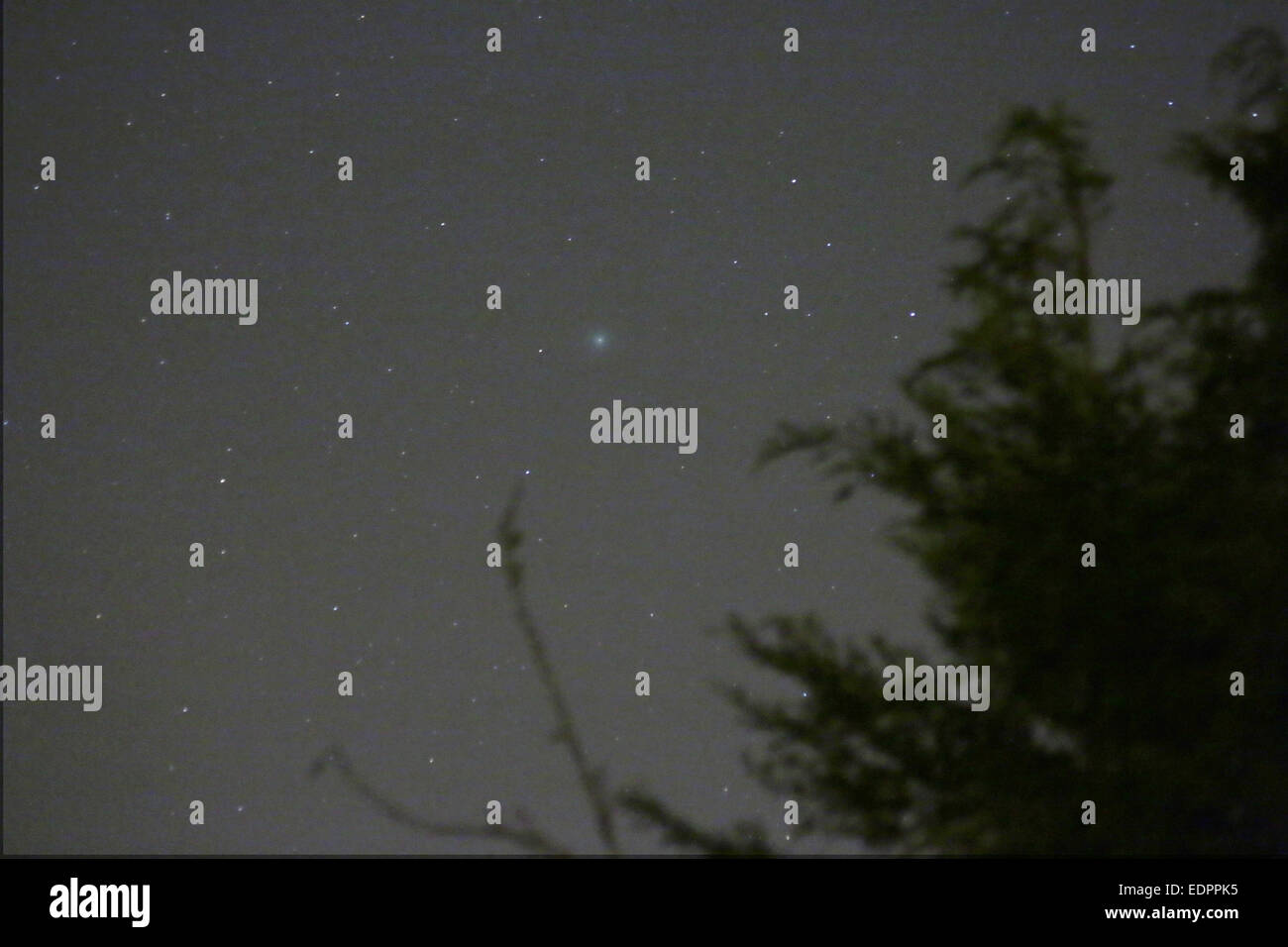 Comet Lovejoy (2014 Q2) photographed on 8 January 2015 from Flackwell Heath, Bucks. The comet is the fuzzy spot just above centre. It is easily visible with binoculars to the right of Orion’s Belt and below the Seven Sisters star cluster (not shown here). Credit Robin Scagell/Galaxy/Alamy Live News Stock Photo