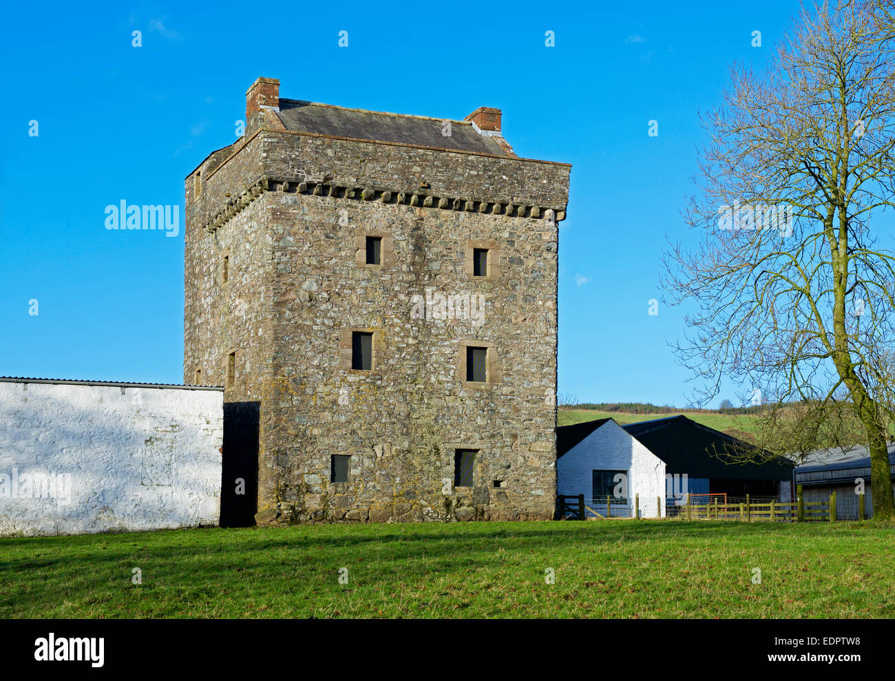 Drumcoltran Tower, near Dalbeattie, Dumfries & Galloway, Scotland UK Stock Photo