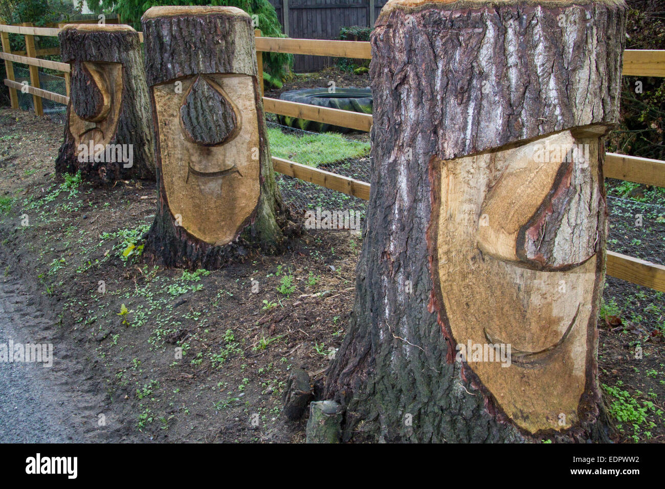 The bottom of three tree stumps on a verge have been carved to look like funny faces Stock Photo