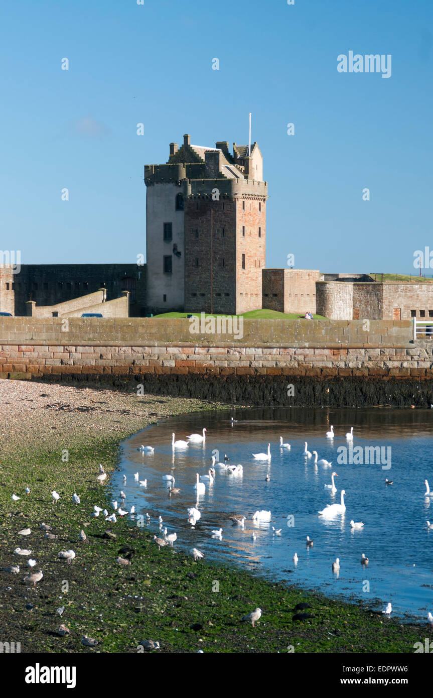 broughty ferry castle dundee with swans Stock Photo