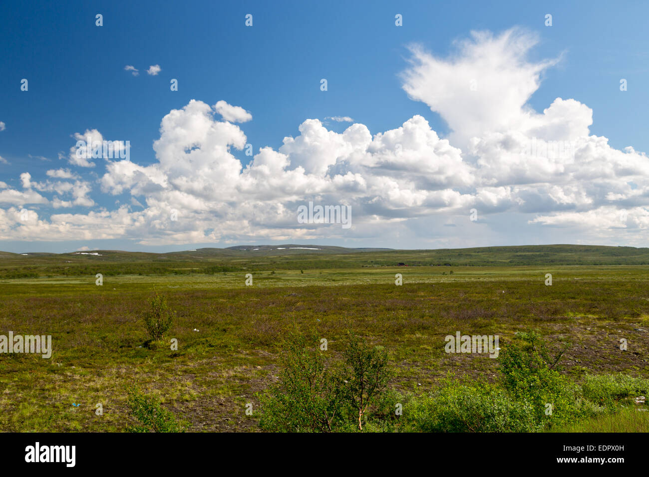 Picture of finnmarksvidda, with big clouds Stock Photo