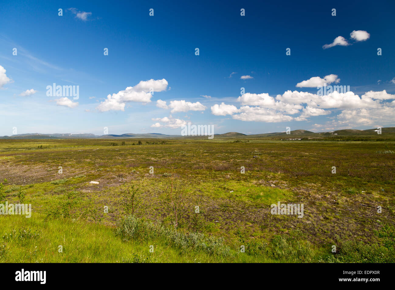 Picture of the finnmarksvidda in northern norway Stock Photo