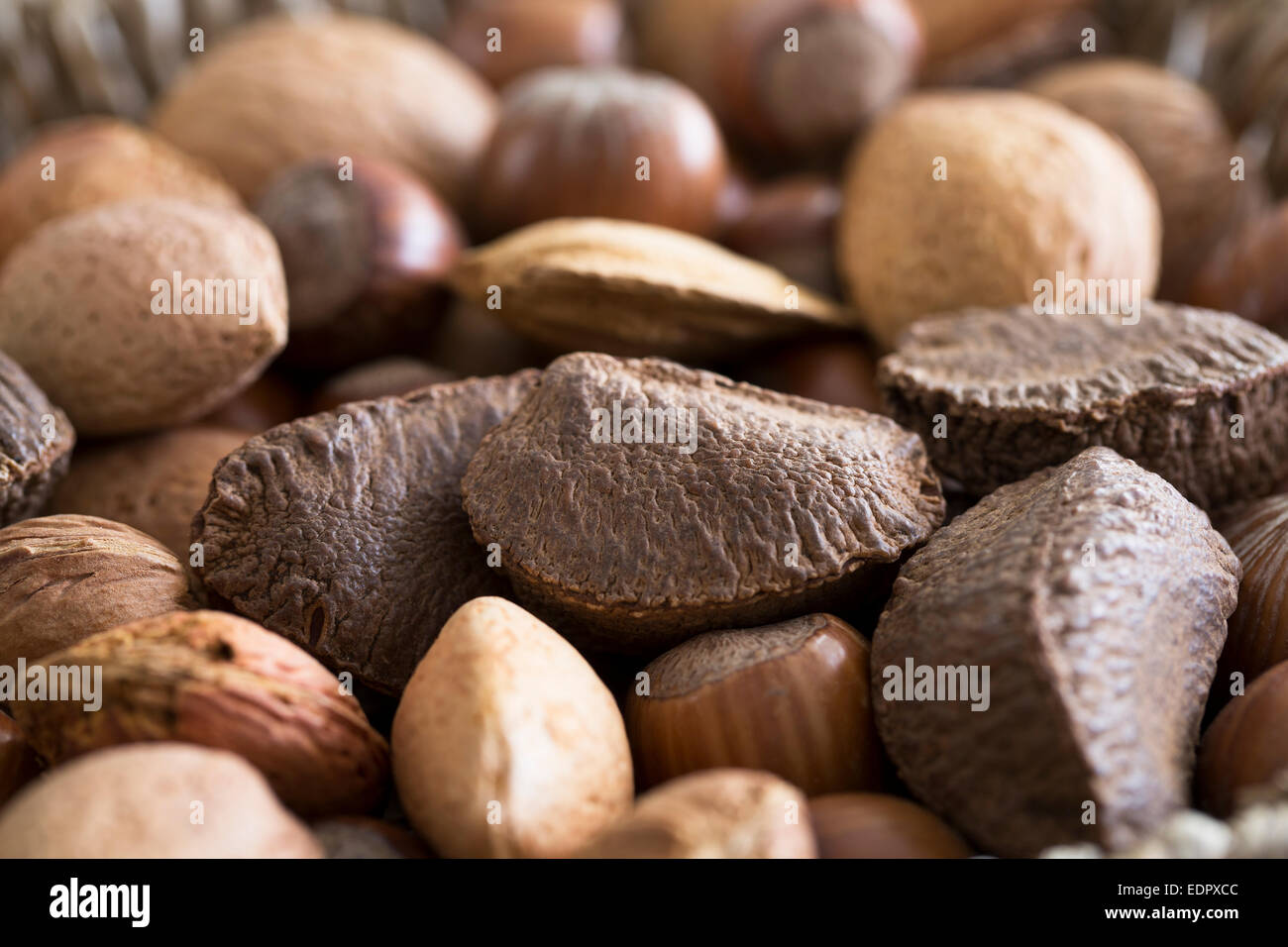 Mixed Whole Nuts In Shell Close Up With Brazil Nut In Focus Stock Photo Alamy