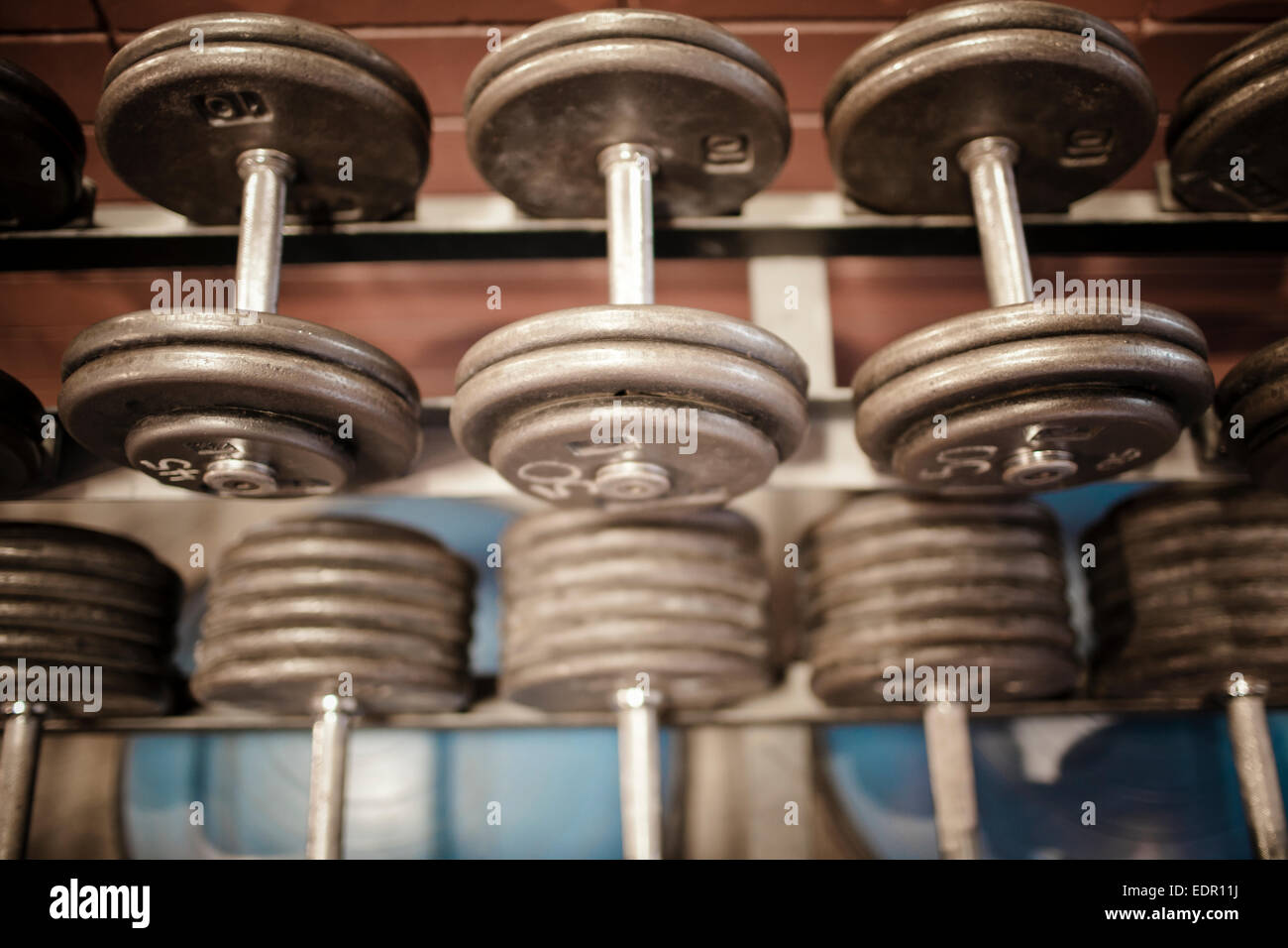 Dumbbells on a rack Stock Photo - Alamy