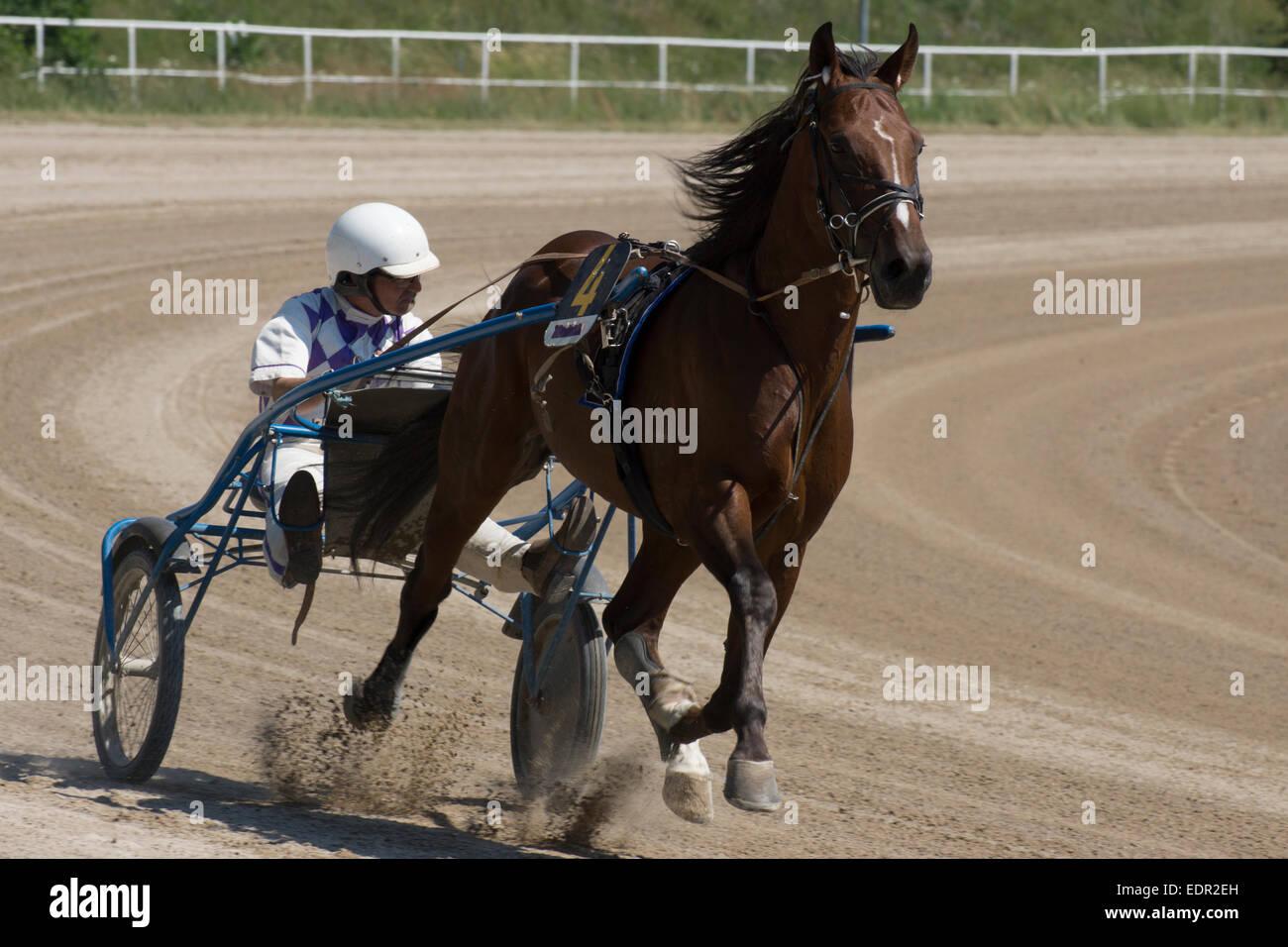 Harness racing at Karlshorst Trabrennbahn, Berlin, Germany Stock Photo