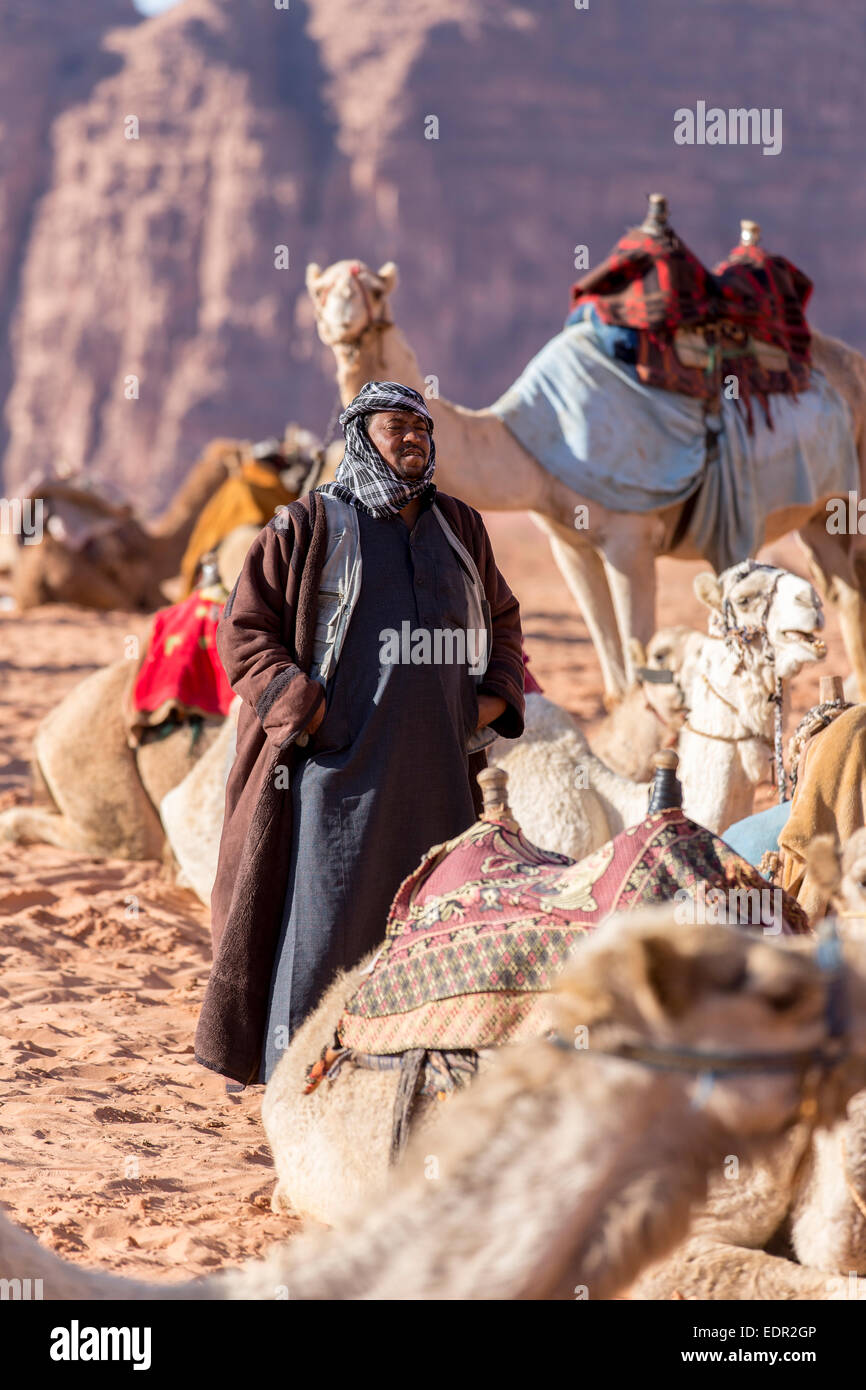 Camels photographed in Wadi Rum, Jordan Stock Photo - Alamy