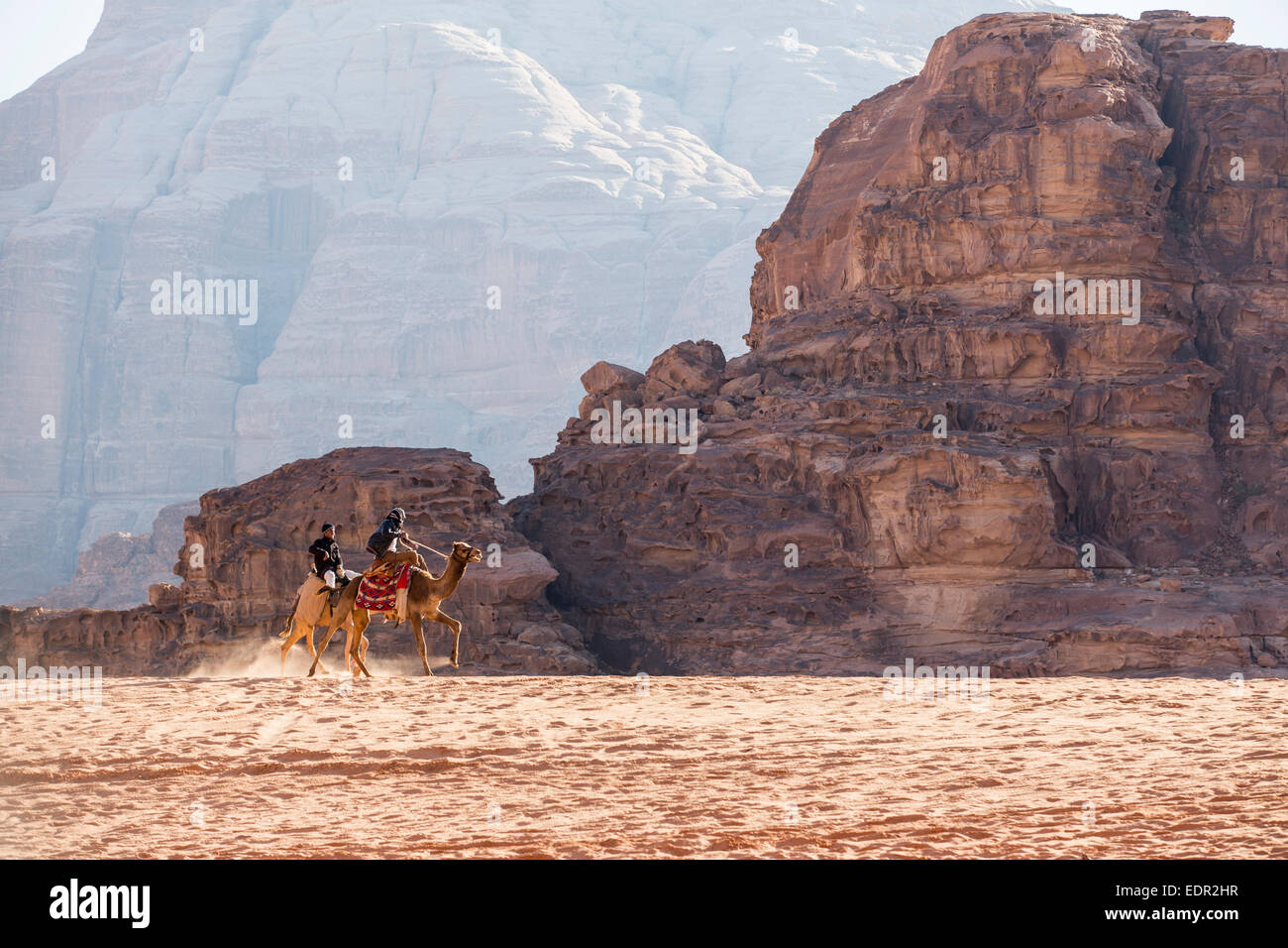 Camels photographed in Wadi Rum, Jordan Stock Photo - Alamy