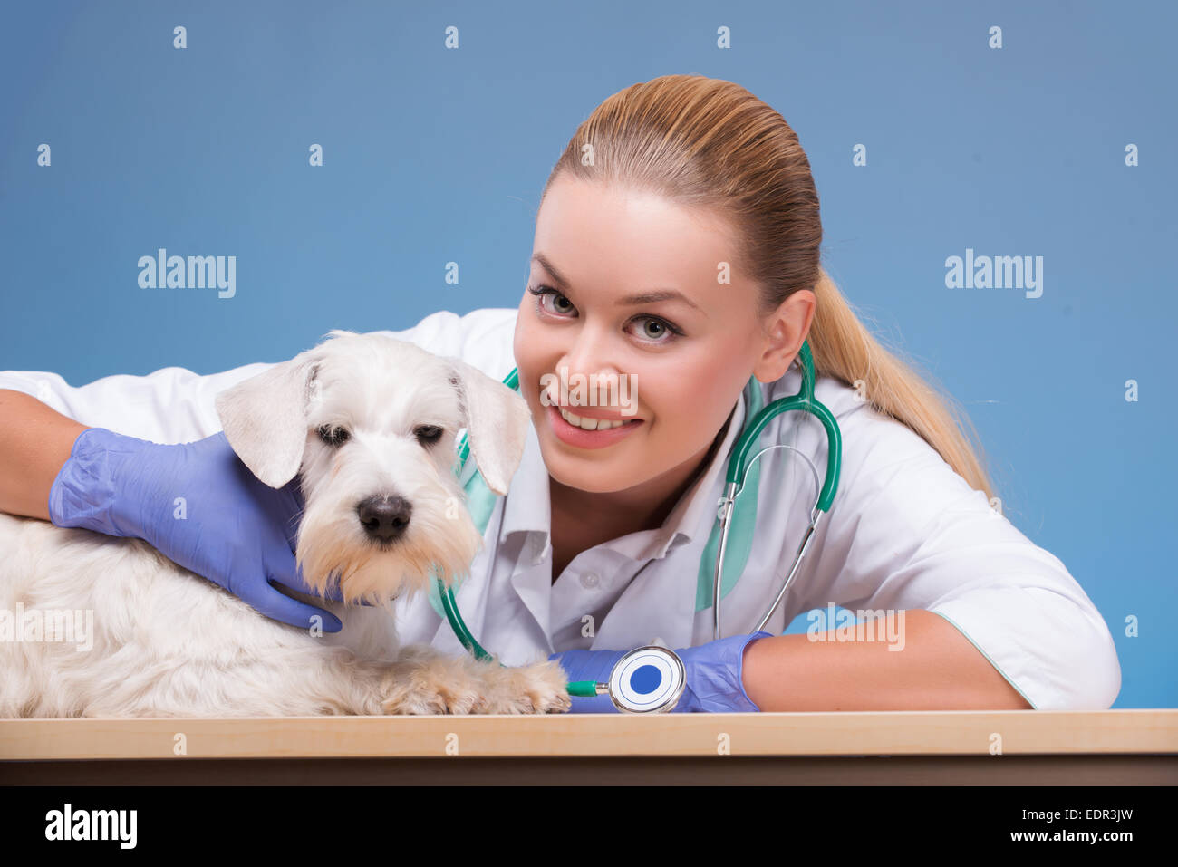 Vet hospital exterior hires stock photography and images Alamy