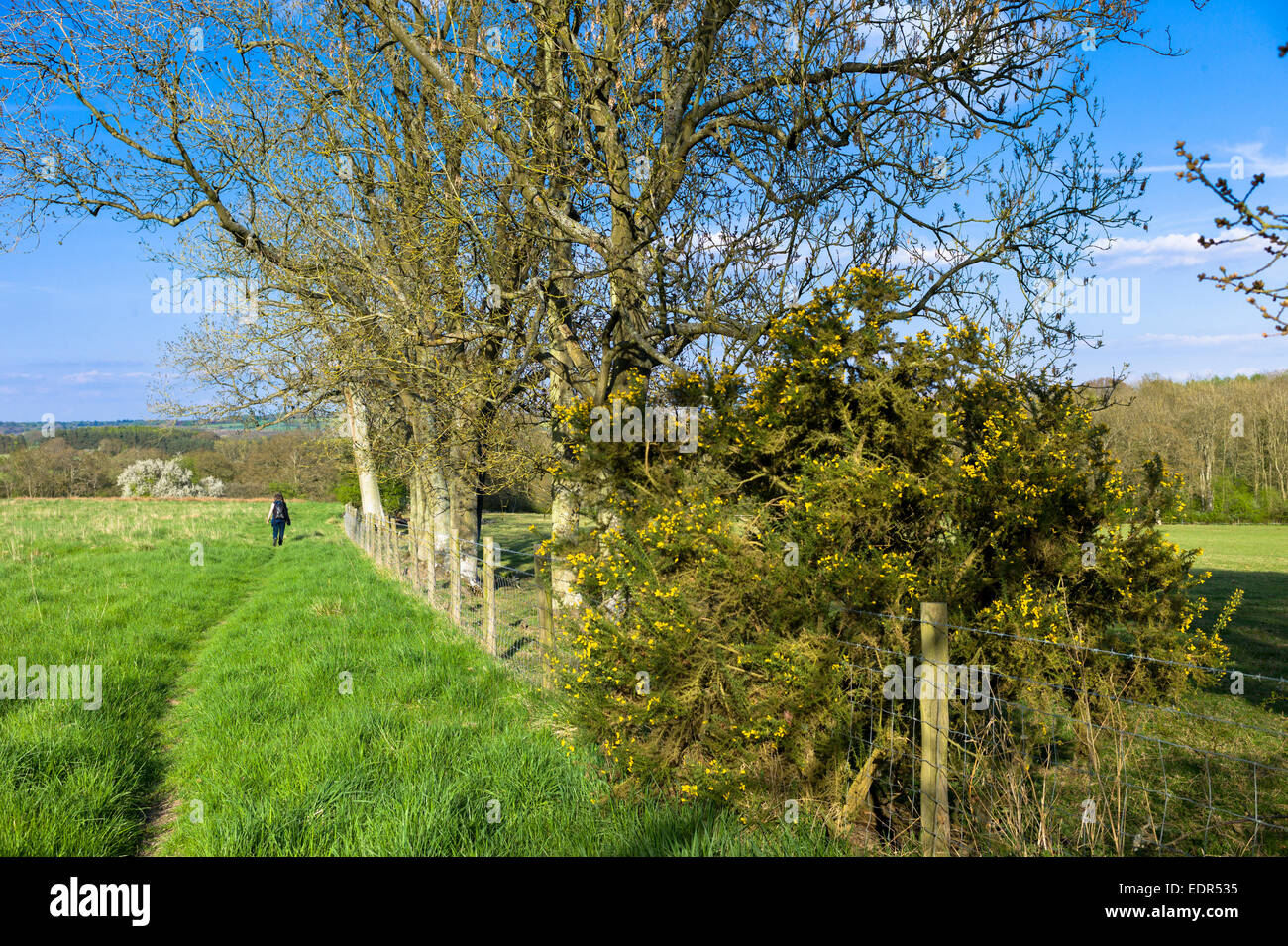 Cotswold walks hires stock photography and images Alamy
