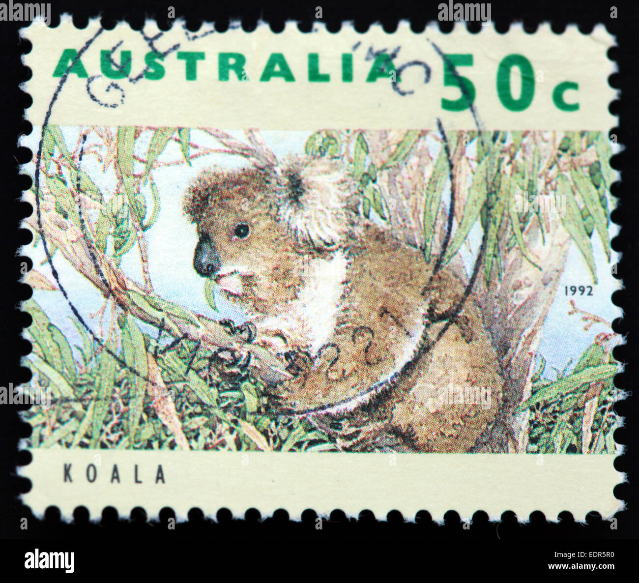 Used and postmarked Australia / Austrailian Stamp 50c Koala 1992 Stock Photo