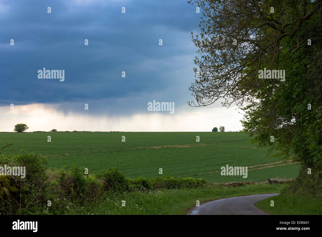Dark stormy leaden sky with rain cloud forecasts inclement bad weather in Swinbrook in The Cotswolds, Oxfordshire, UK Stock Photo
