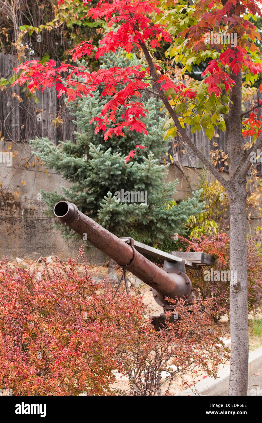Historic water water monitor mining equipment and fall leaves, Nevada City Stock Photo