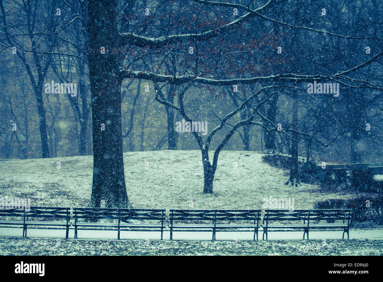 Snowy day in New York's Central Park Stock Photo