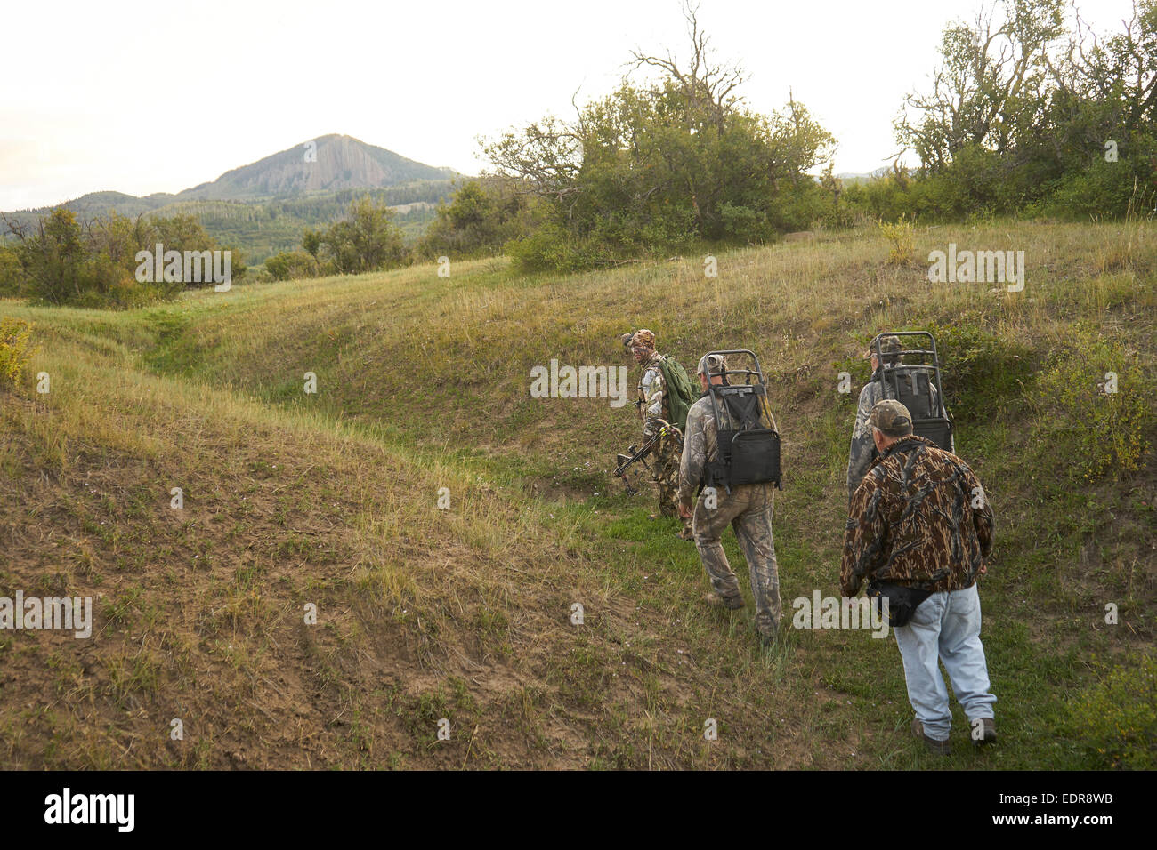 Bow hunting deer hires stock photography and images Alamy
