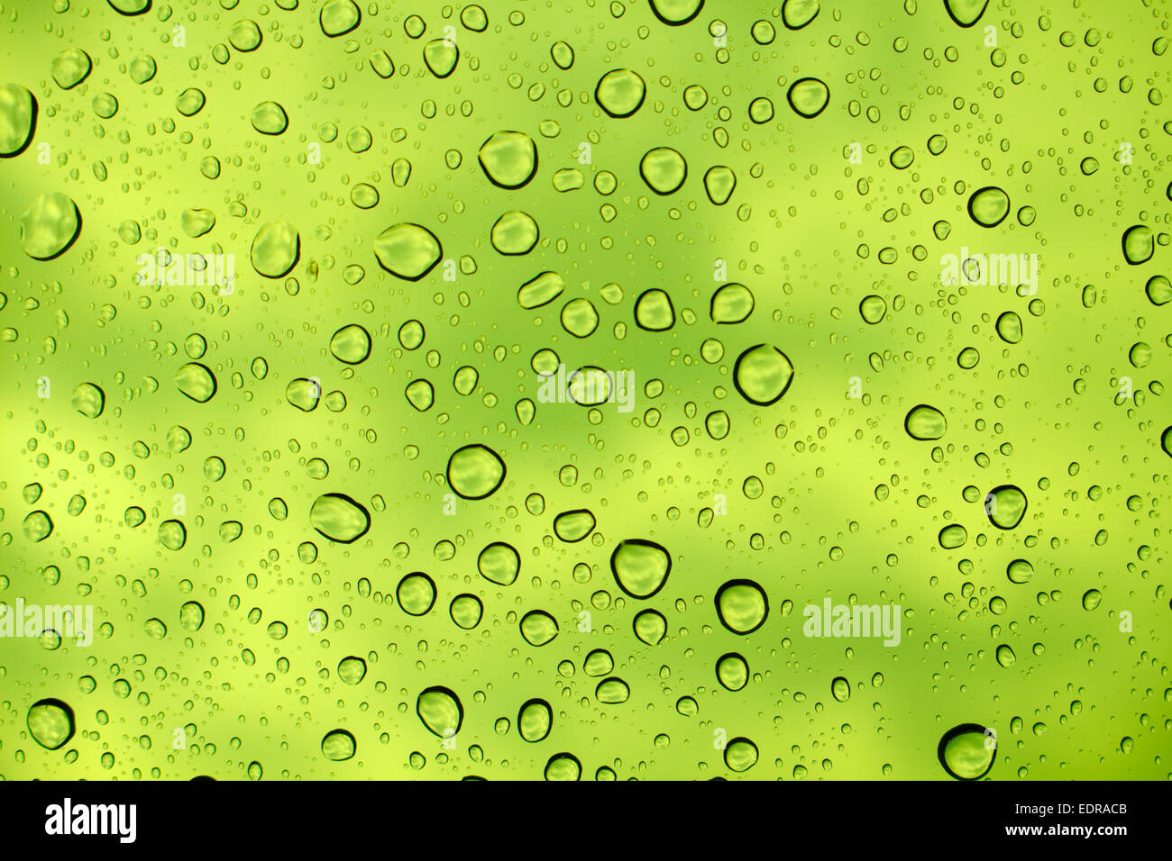 Water drops on glass hi-res stock photography and images - Alamy