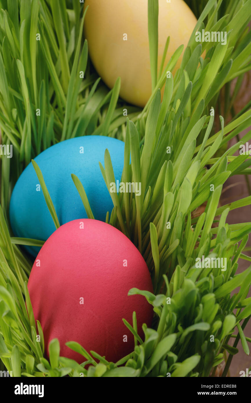 Easter eggs in a row on the grass, closeup photo Stock Photo