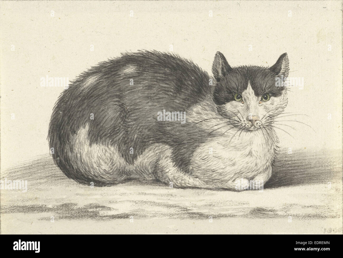 Reclining cat, Jean Bernard, 1800 Stock Photo Alamy