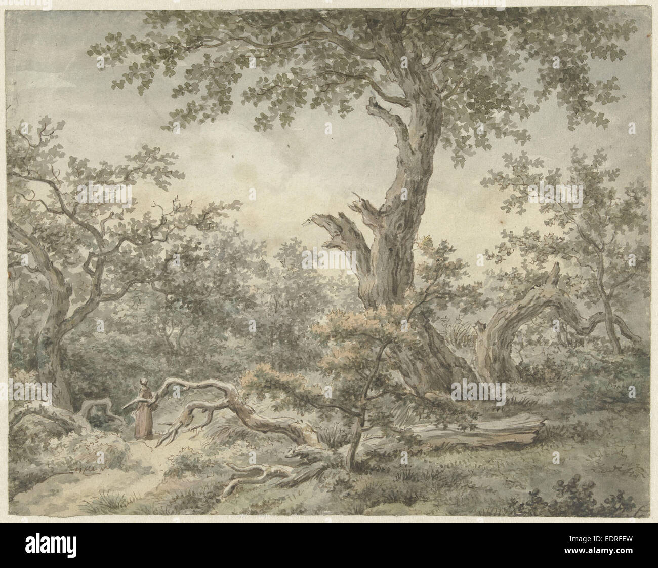 Forest Landscape, Cornelis Buys, 1756 - 1826 Stock Photo