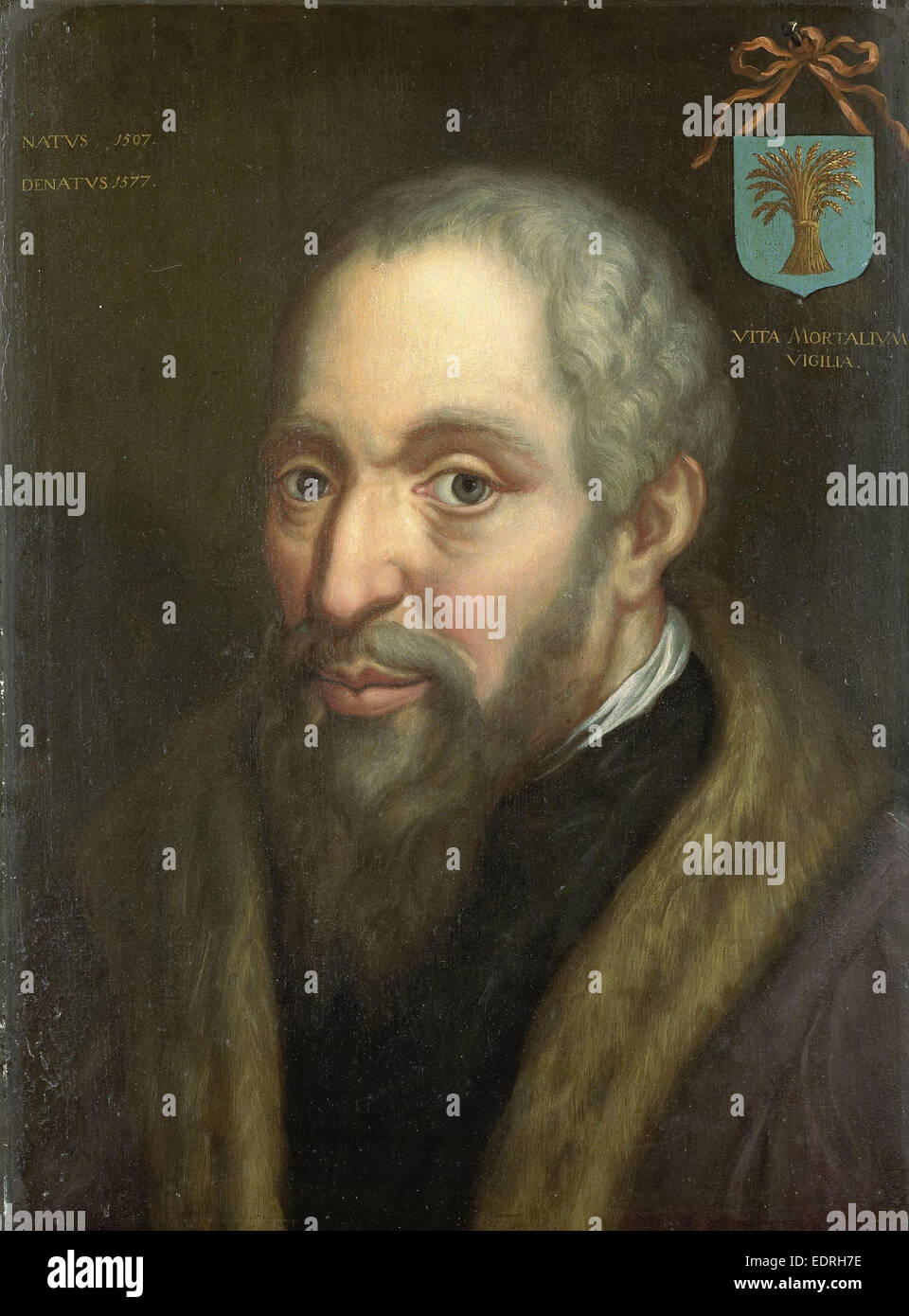 Portrait of Viglius ab Zuichemus, Frisian Jurist, President of the Privy Council and Member of the Council of State, Anonymous Stock Photo