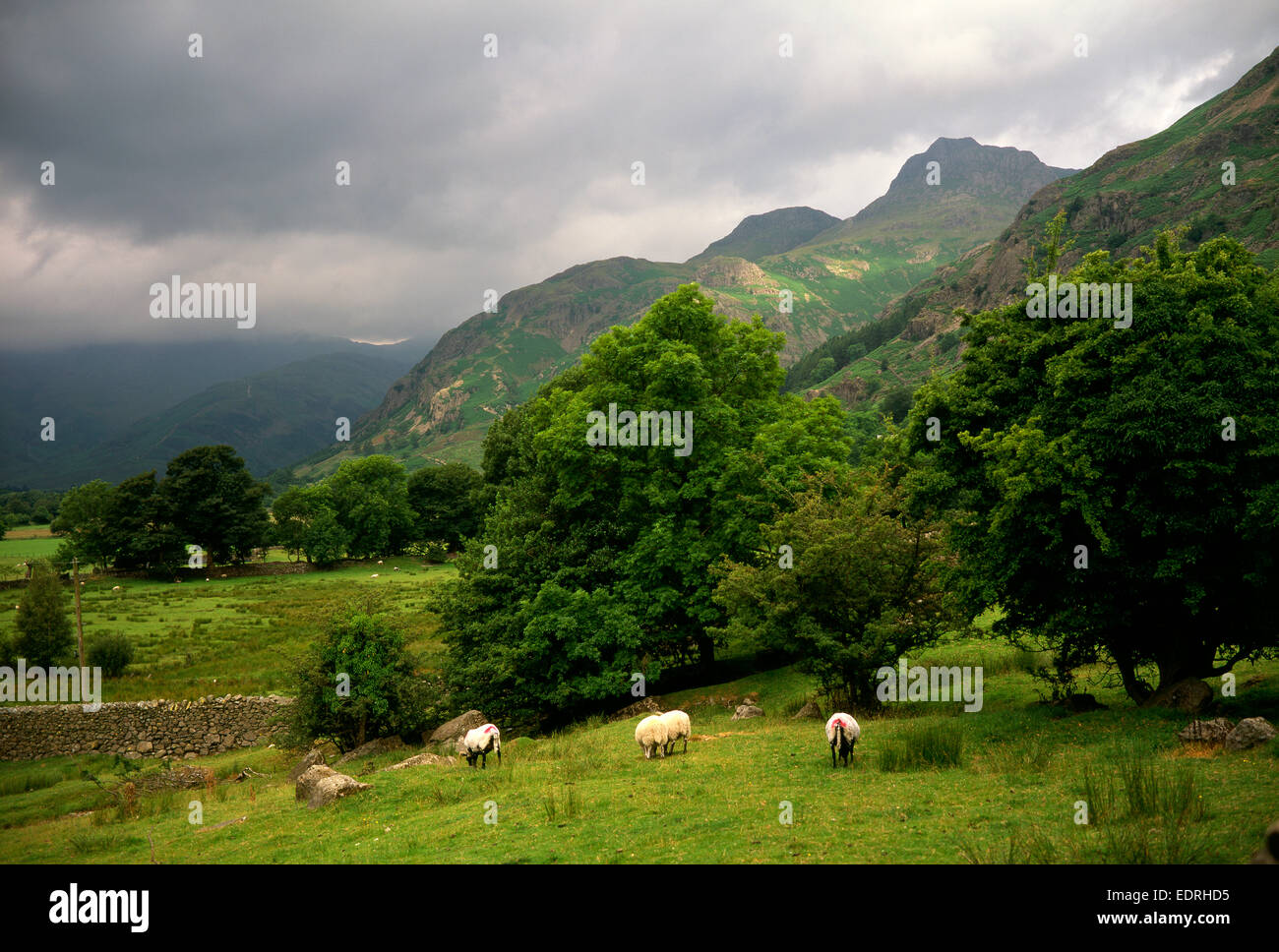 Great Langdale valley Cumbria Stock Photo