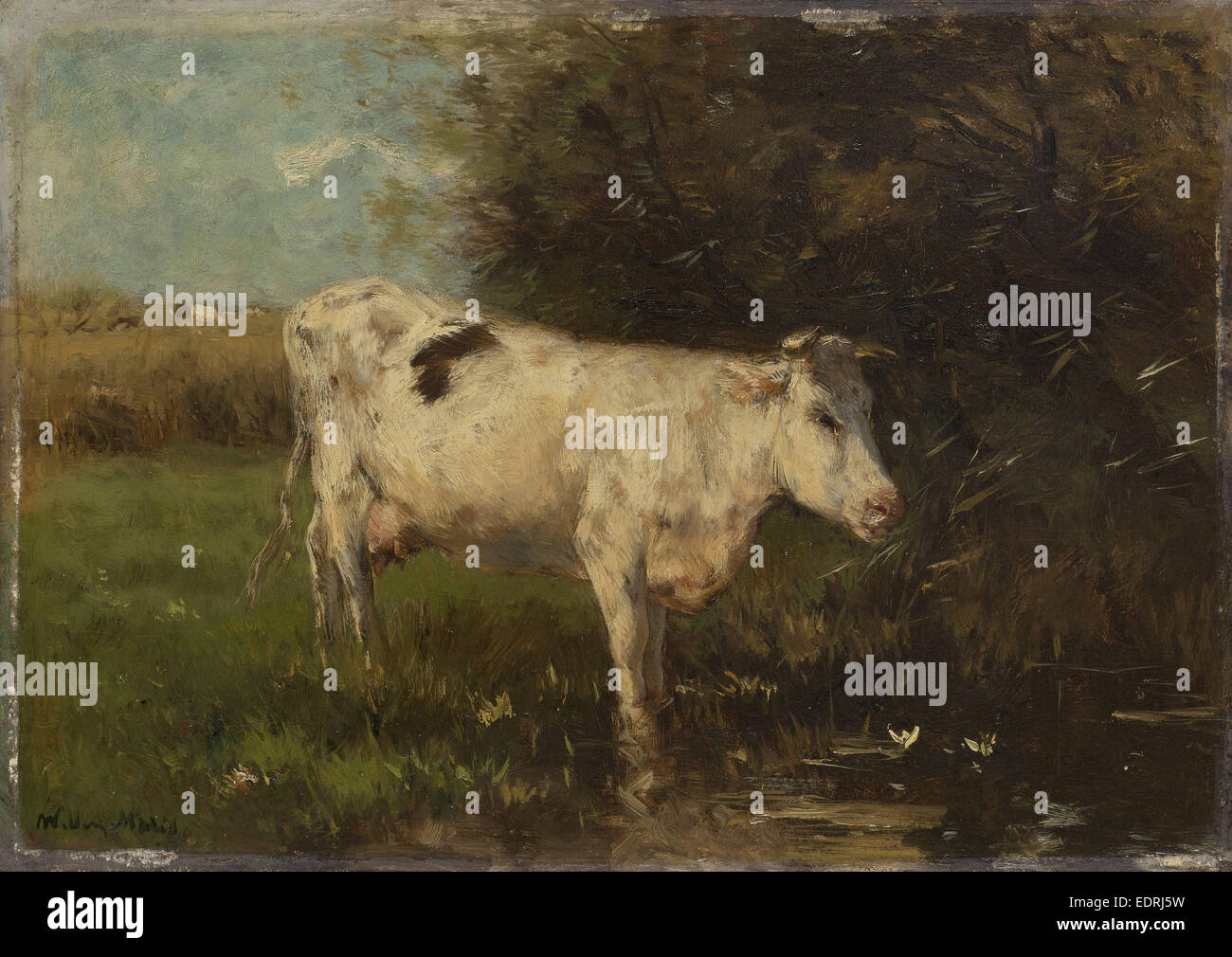 White Cow, Willem Maris, c. 1880 - c. 1910 Stock Photo - Alamy