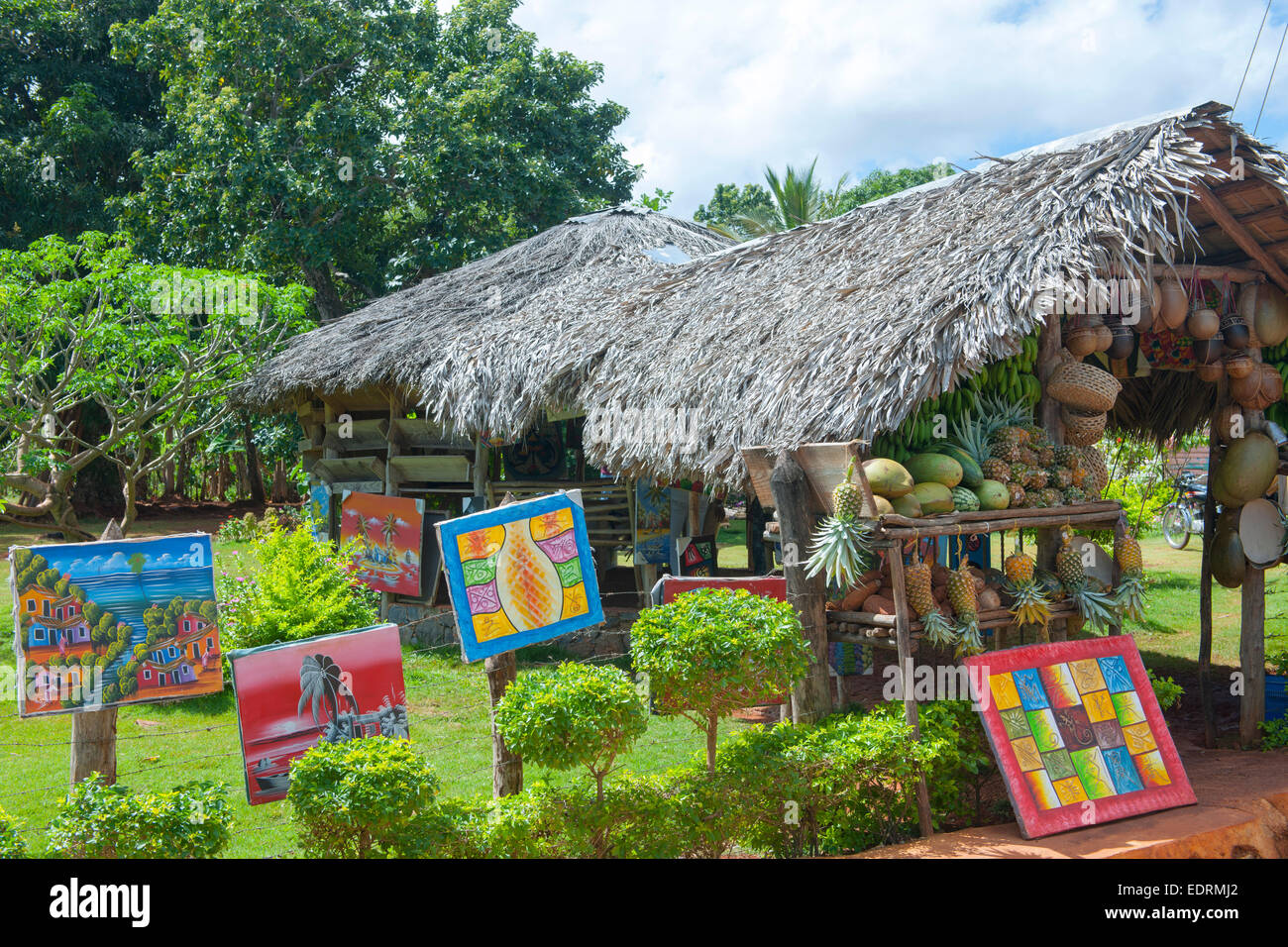 Dominikanische Republik, Halbinsel Samana, Los Galeras, an  der Strasse von Los Galeras zum Dorf Rincon Stock Photo