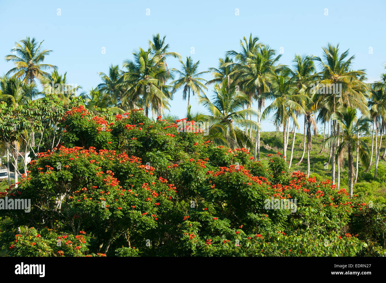 Dominikanische Republik, Halbinsel Samana, Las Terrenas, am Boulevard Turistico del Atlantico an der Nordküste bei Las Terrenas Stock Photo