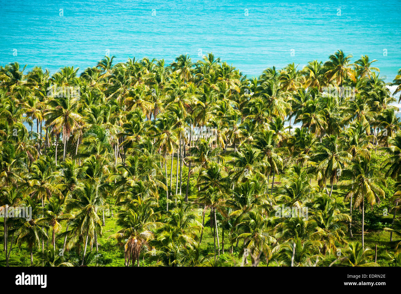 Dominikanische Republik, Halbinsel Samana, Blick vom Aussichtspunkt am Boulevard Turistico del Atlantico an der Nordküste bei La Stock Photo