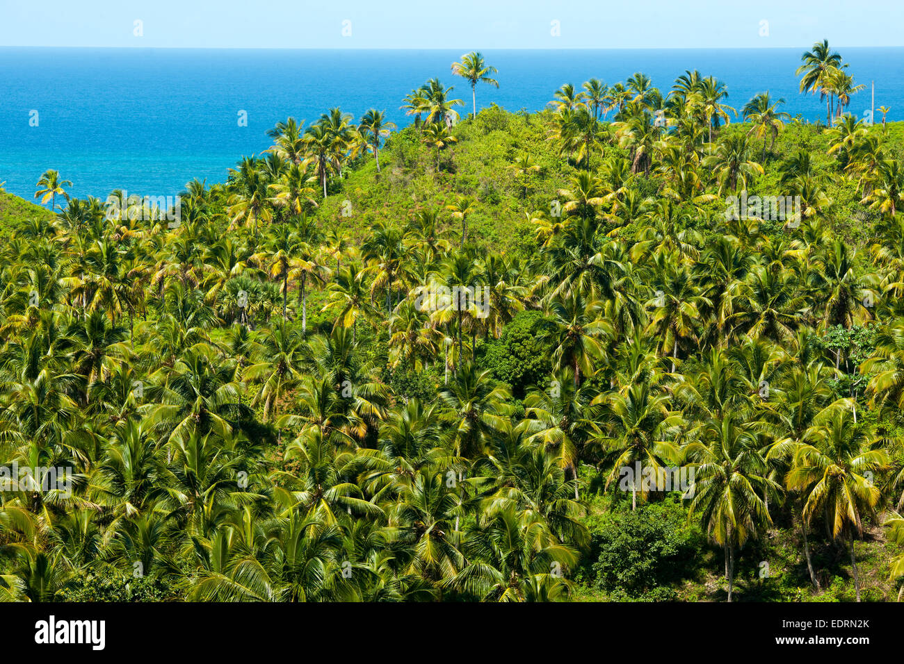 Dominikanische Republik, Halbinsel Samana, Blick vom Aussichtspunkt am Boulevard Turistico del Atlantico an der Nordküste bei La Stock Photo