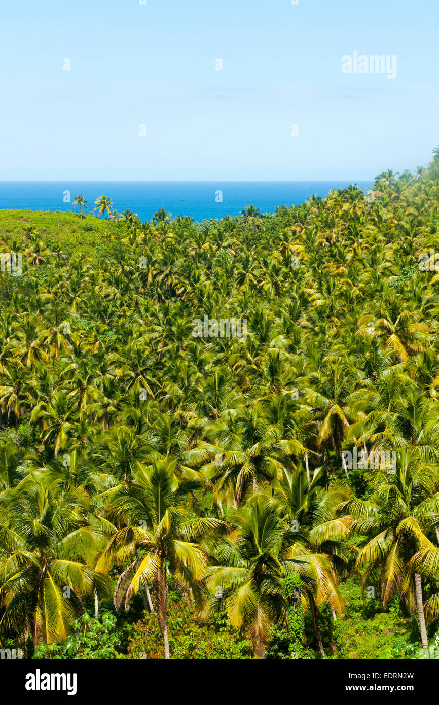 Dominikanische Republik, Halbinsel Samana, Blick vom Aussichtspunkt am Boulevard Turistico del Atlantico an der Nordküste bei La Stock Photo