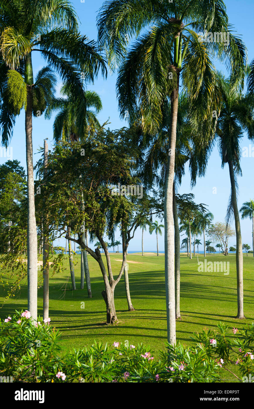 Dominikanische Republik, Nordosten, Cabrera, Golfclub Playa Grande Stock Photo