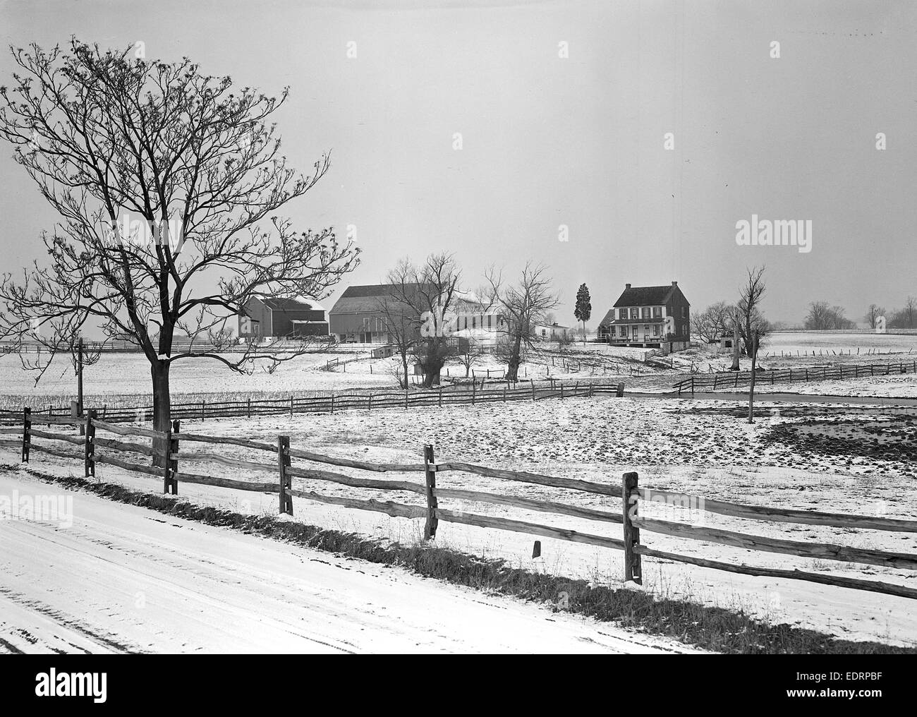Lancaster, Pennsylvania Housing. Adjoining farms on side road near Petersburg, 1936, Lewis