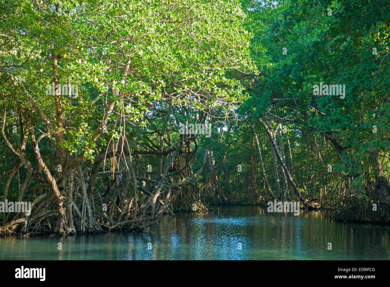 Rio san juan dominican republic hi-res stock photography and images - Alamy