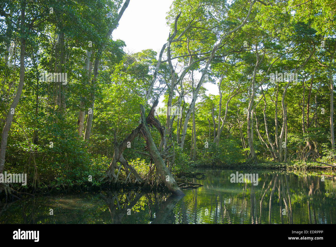Rio san juan dominican republic hi-res stock photography and images - Alamy