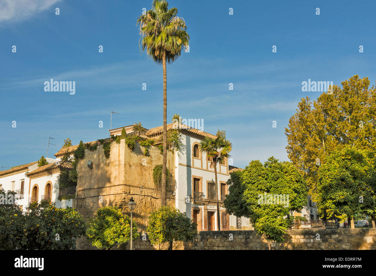 CORDOBA SPANISH HOUSES NEAR TO THE ALCAZAR AND THE GARDENS Stock Photo