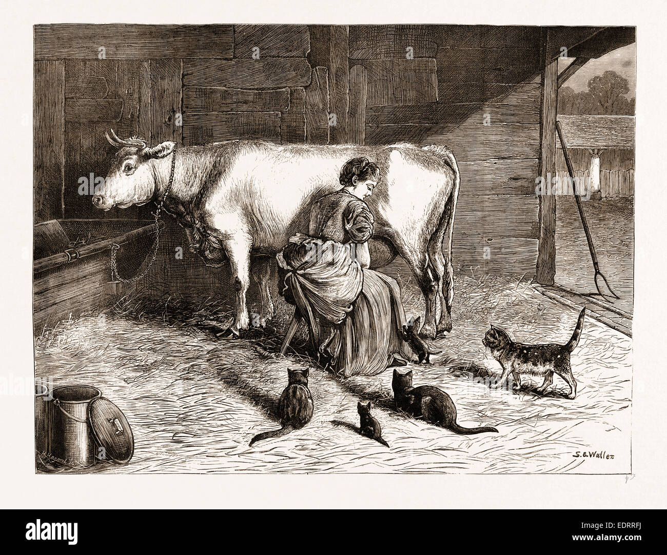 LADIES IN WAITING FROM THE PAINTING BY S.E. WALLER EXHIBITED IN THE