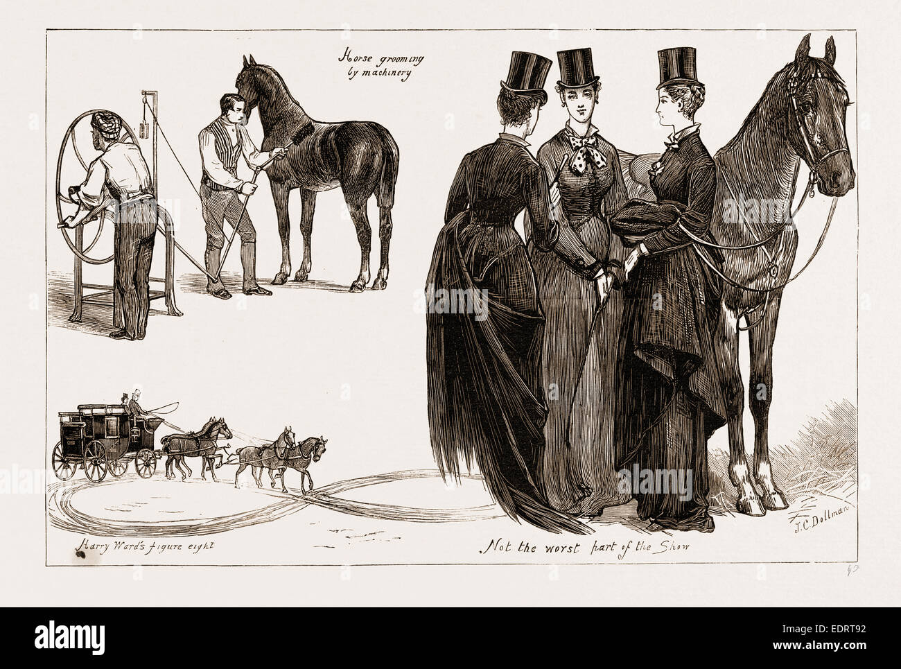 THE HORSE SHOW AT THE AGRICULTURAL HALL, ISLINGTON, LONDON, UK, 1876 ...