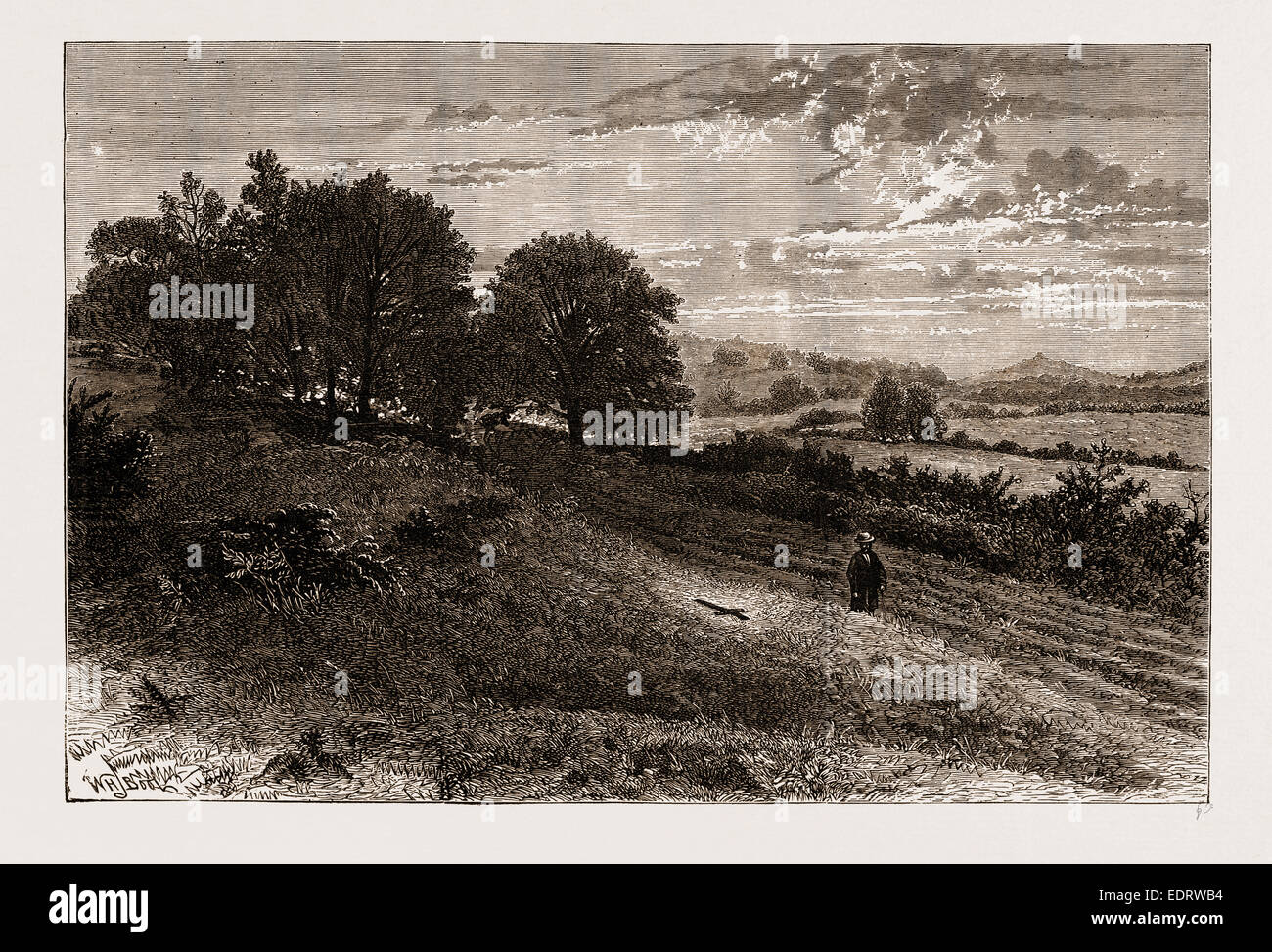 NEAR EVERSHED'S ROUGH—SCENE OF THE FATAL ACCIDENT TO THE LORD BISHOP OF WINCHESTER, 1873 Stock Photo