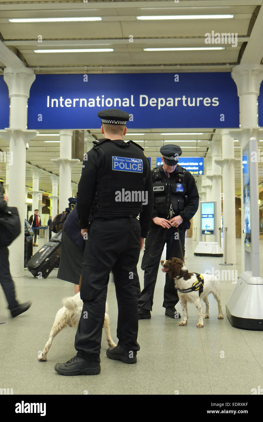 Can Dogs Go On The Eurostar