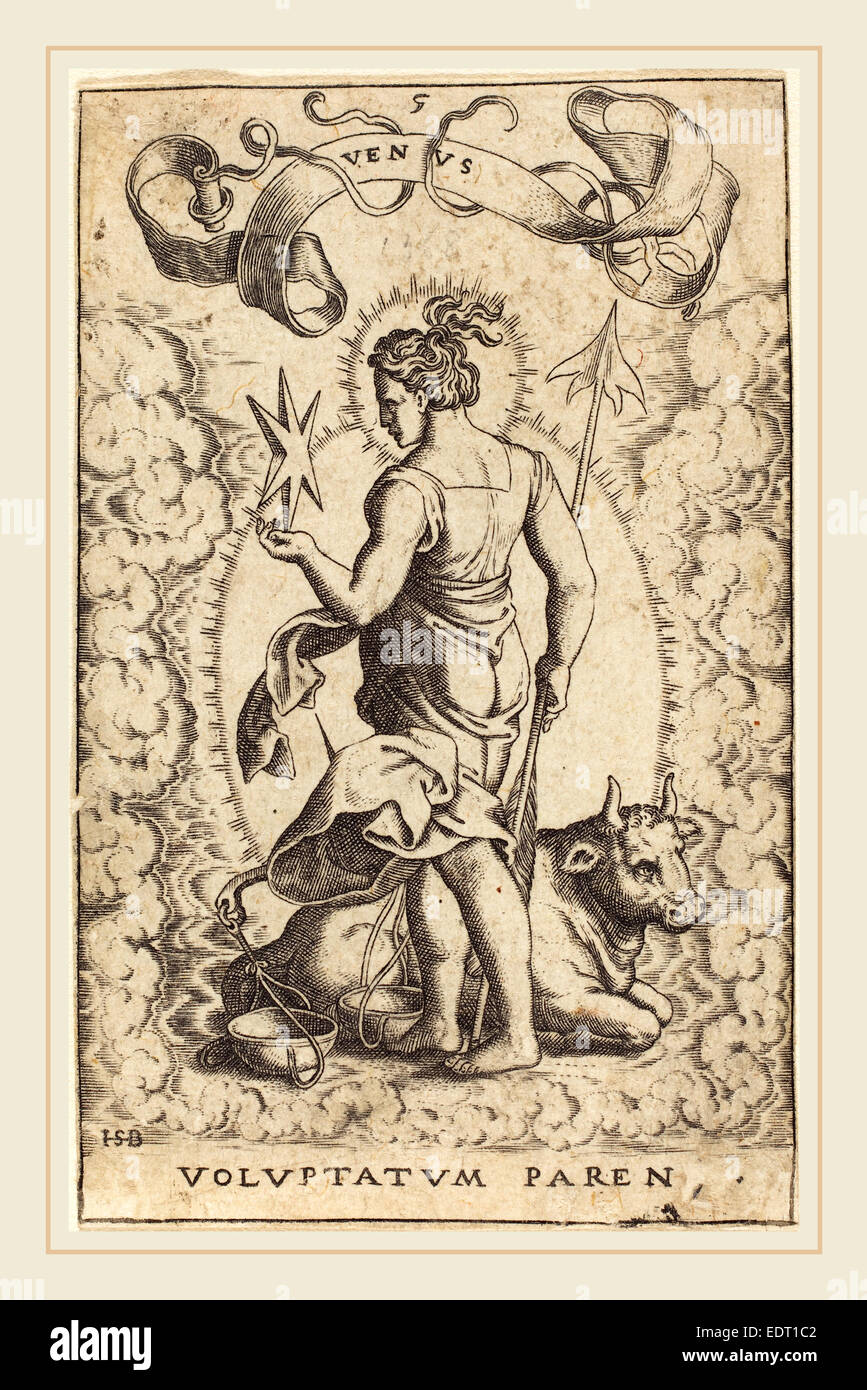 Sebald Beham (German, 15001550), Venus, engraving Stock Photo Alamy