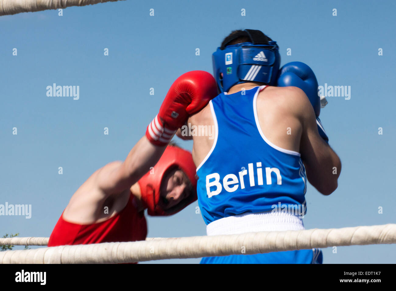 German-Russian junior amateur boxing at the German-Russian Festival, Karlhorst Trabrennbahn, Berlin, Germany Stock Photo