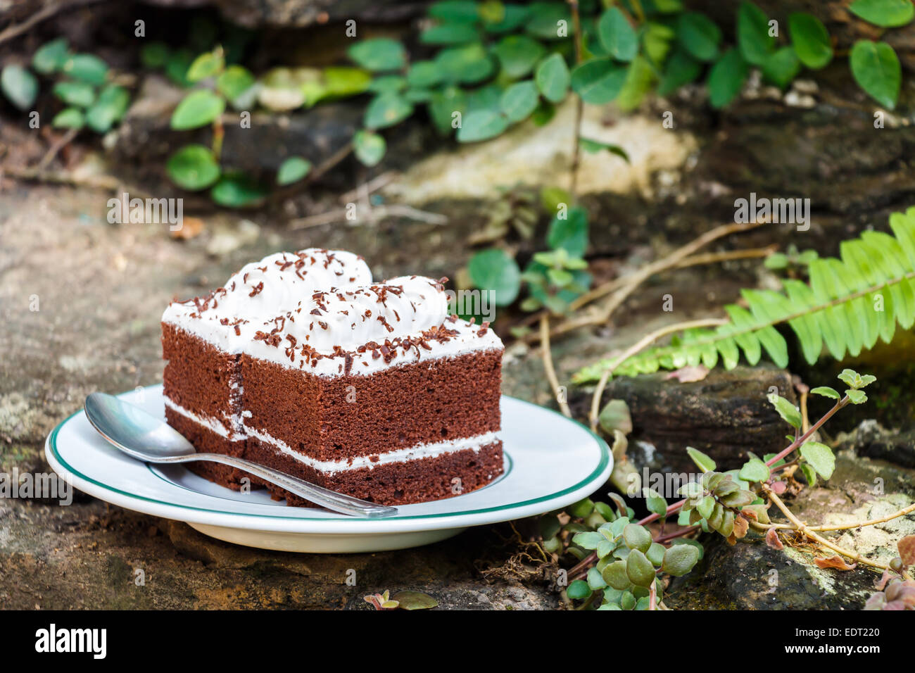 a chocolate cakes on rock in garden Stock Photo